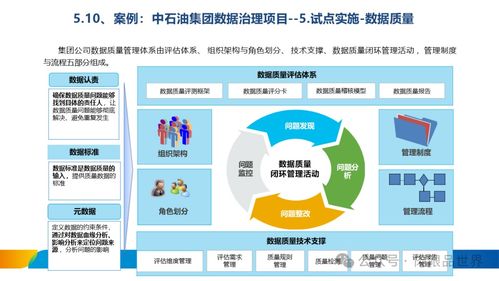 构建高效合规的数据处理服务体系——XX集团数据治理体系建设方案