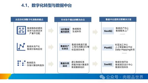 xx集团数据治理体系建设方案 